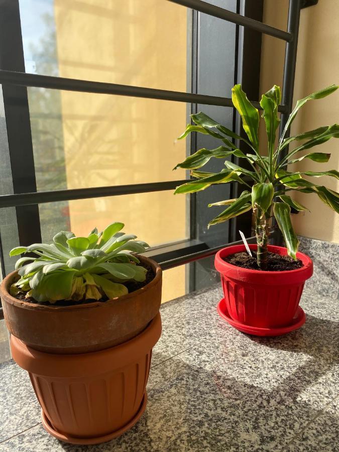 Appartamento Eliana Asti Exteriör bild